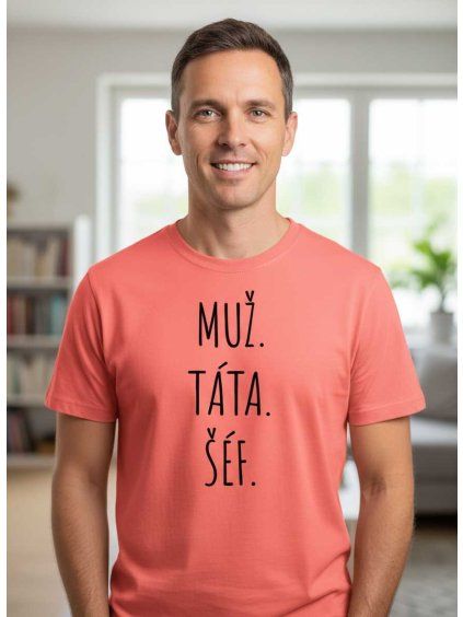 Dobrý triko pánské tričko muž táta šéf