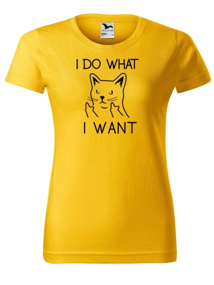 2031 29 damske tricko s potiskem i do what i want