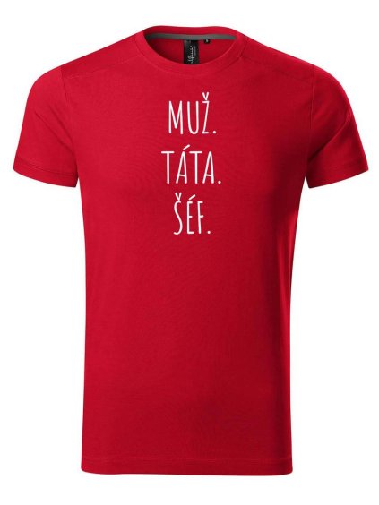 4719 3 panske tricko muz tata sef