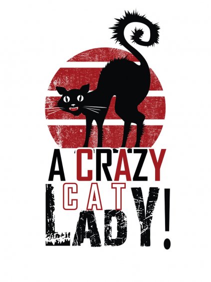 Crazy cat lady