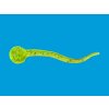 Relax Lures Relax Sperm Worm 1" - 4 cm (Varianta SW1-CS001)