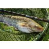 Giants fishing Prut Gaube Medium Method Feeder 12ft 40-90g