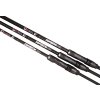 Giants fishing Prut Deluxe BX Carp 10ft 3.25lb 2pc
