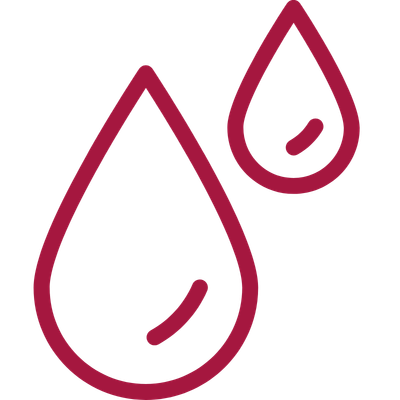 Swiss Water Decaf