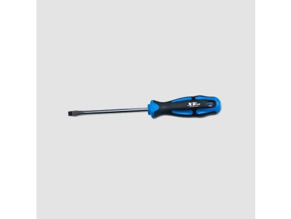 Šroubovák PL4x100mm XT071313