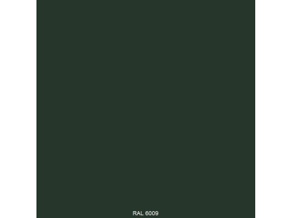 TELKYD T300 lesklý vrchní syntetický email odstín RAL 6009 Jedlová zelená