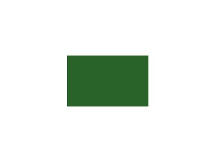 Autolak barva Renault odstín G95 Vert