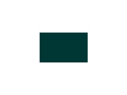 Autolak barva Renault odstín 598 Vert bonsai