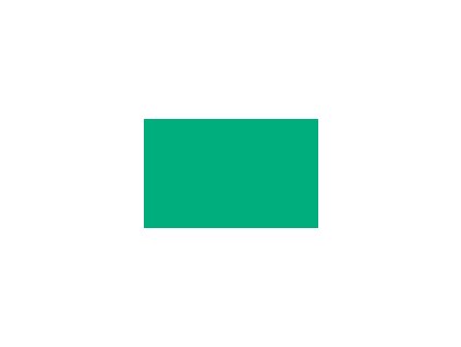 Autolak farba Citroen odtieň LQD Peppermint green