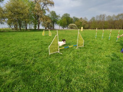 Agility