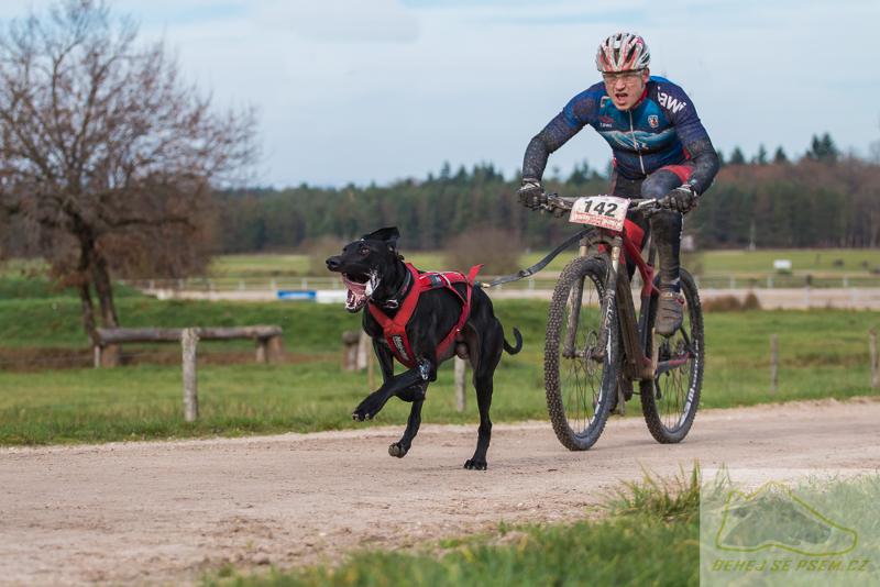 bikejoring-na-kolo-se-psem-non-stop-dogwear-01