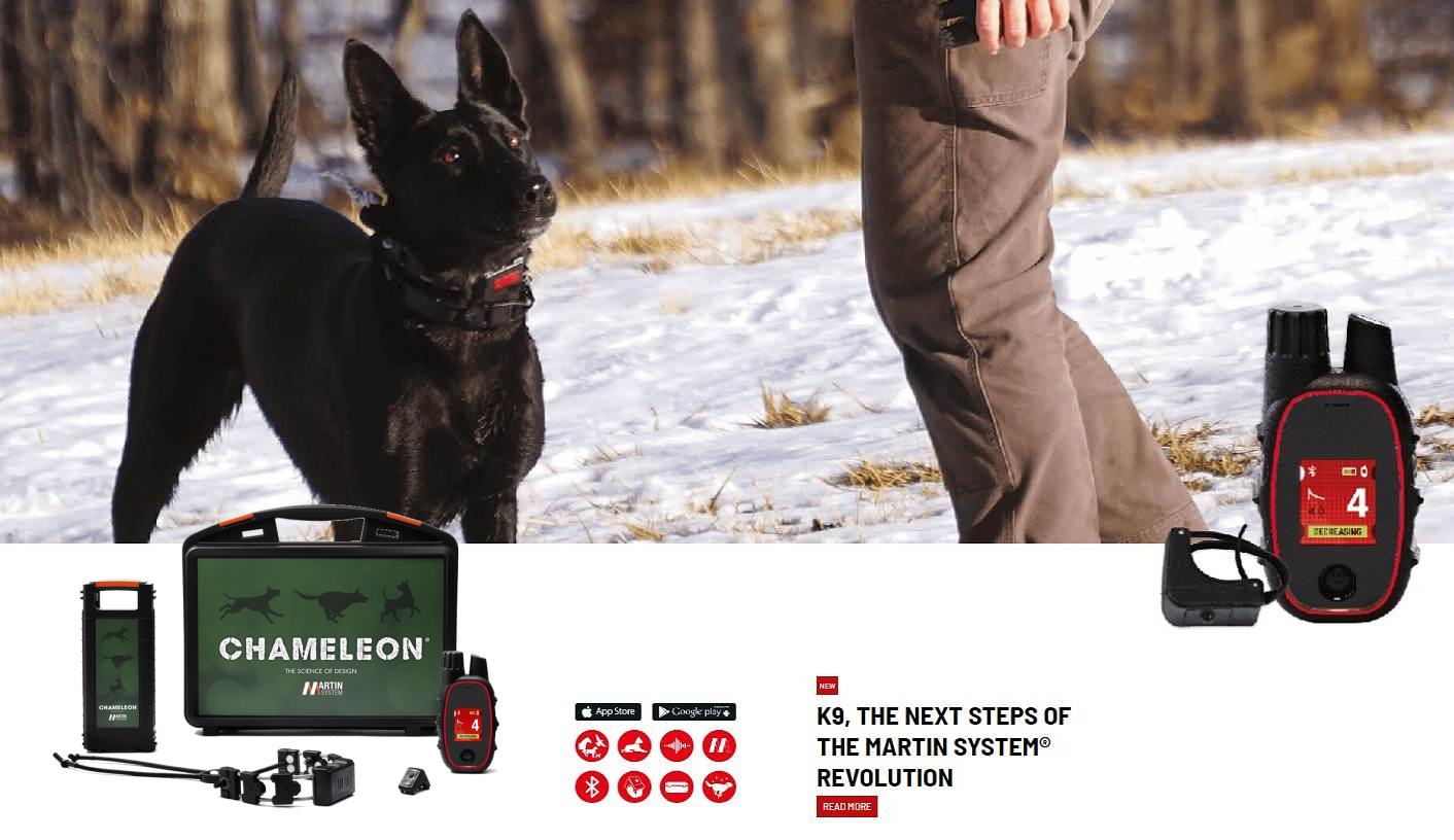 🐶 Training with Martin System electronic collars: No worries, only enthusiasm! 🌟