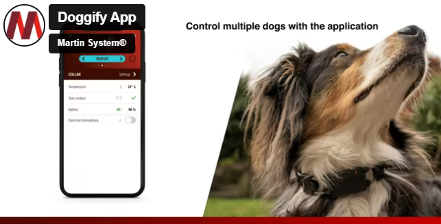 📱 Mobile application Doggify: New Dimension of Communication with Your Dog 🐕