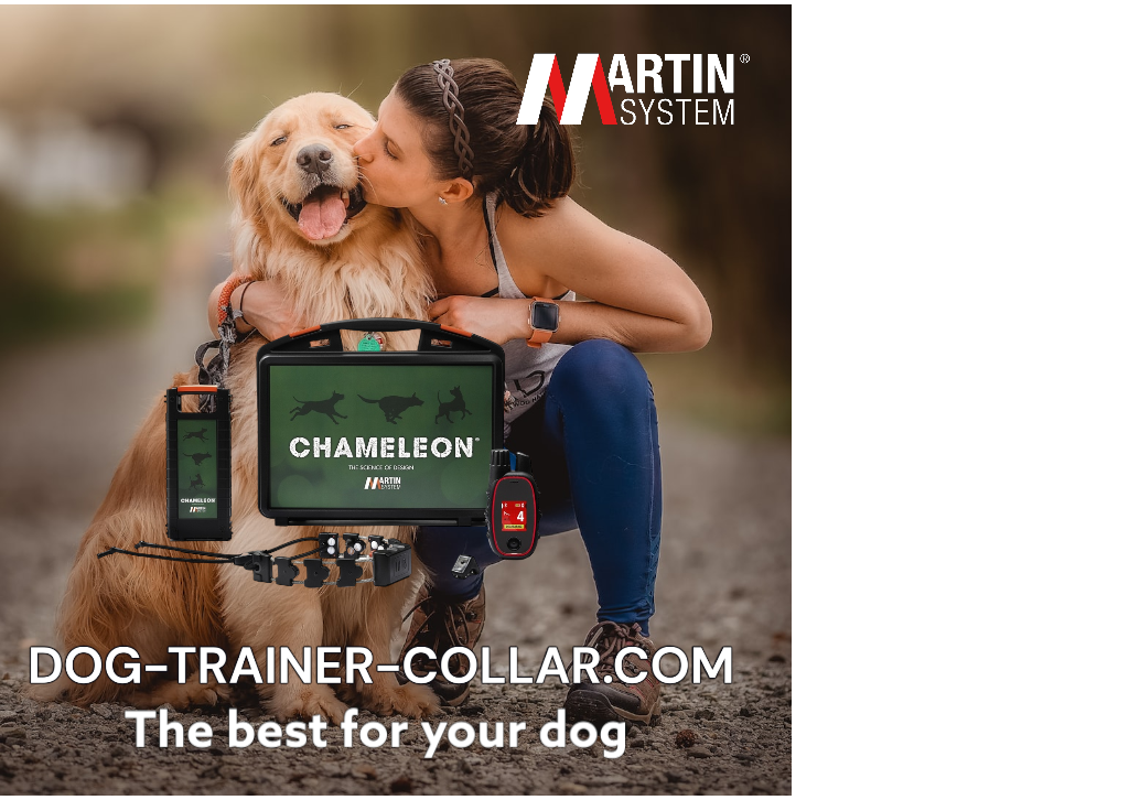 Martin System®: A bridge between you and your dog 🐾