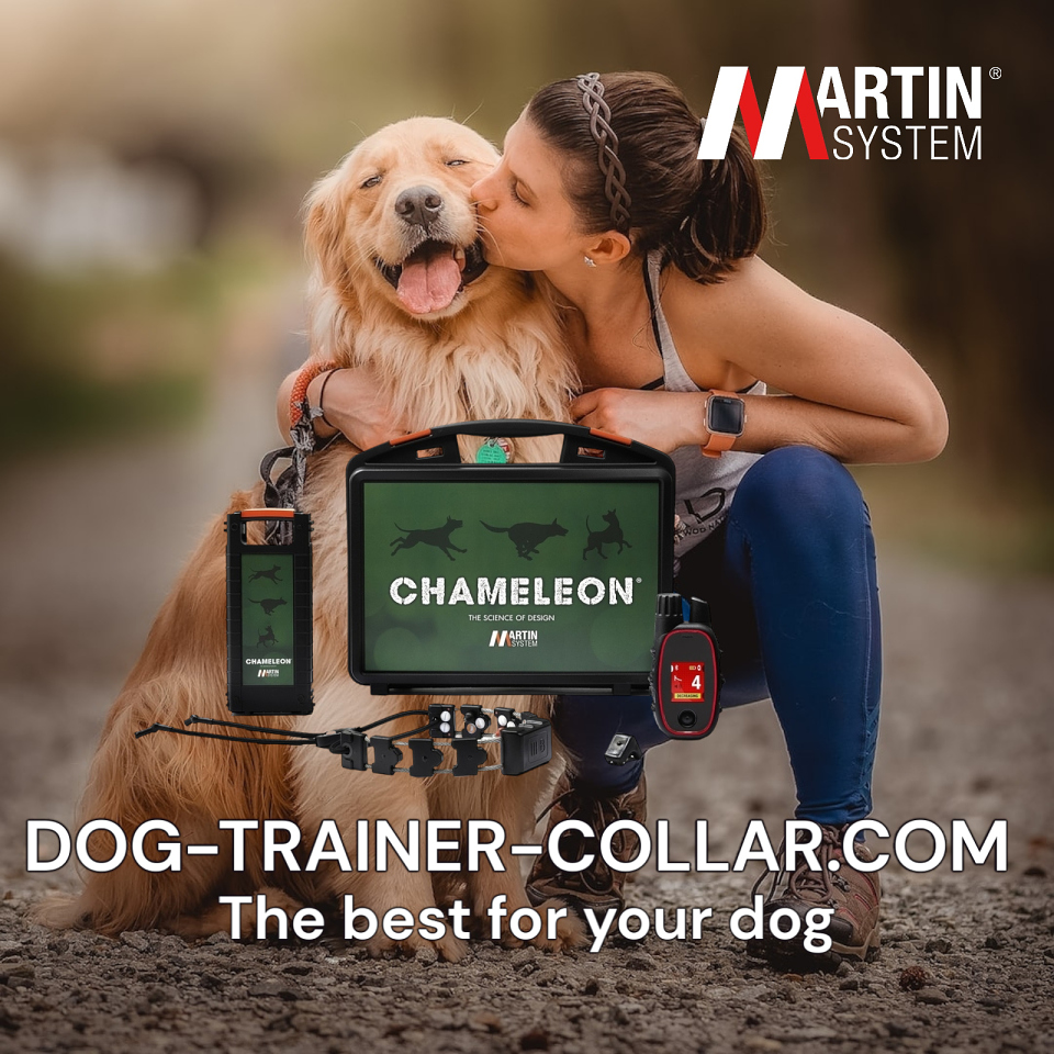 Brands Electronic training collars Martin System Chameleon III B the best for your dog