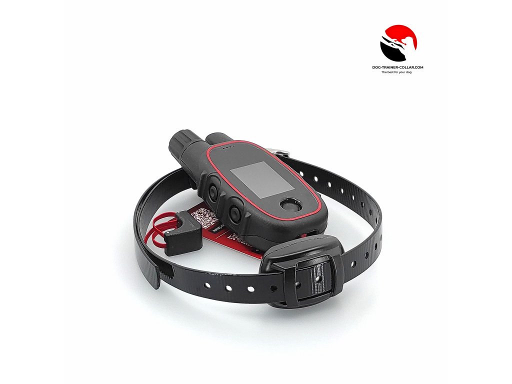 Best e collar training best sale video