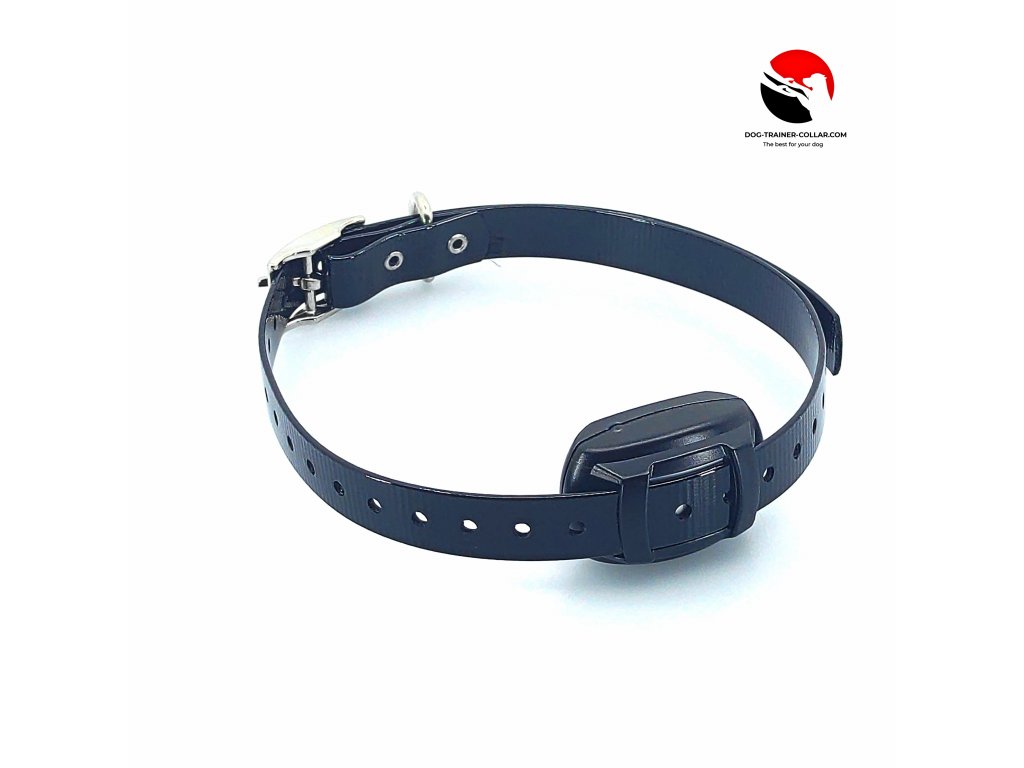 Martin System Micro Trainer B professional training collar