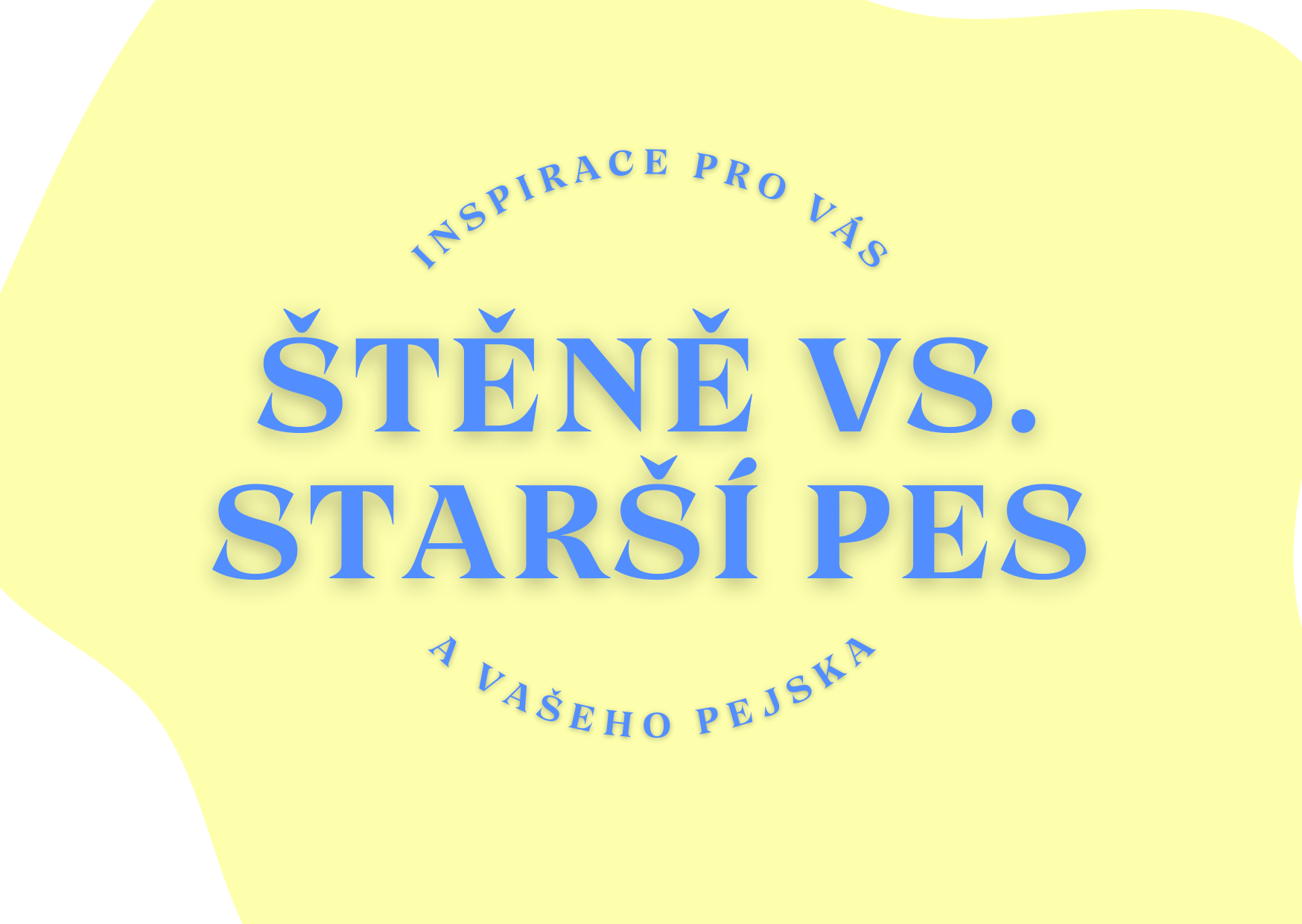 Štěně vs. starý pes