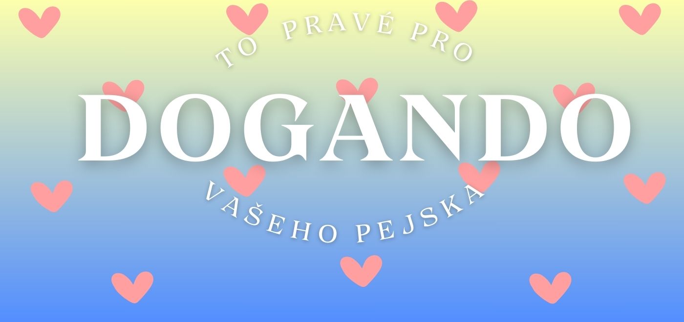 Dogando úvod mobile