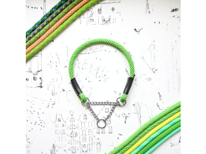 dogaris lanovy obojok ring 1