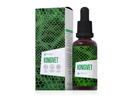 Kingvet WebRes