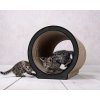 cat on le rond 013 002