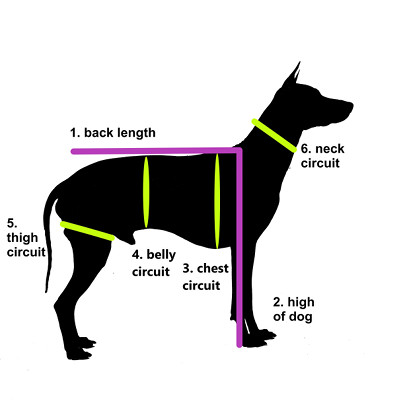 Dog's measures