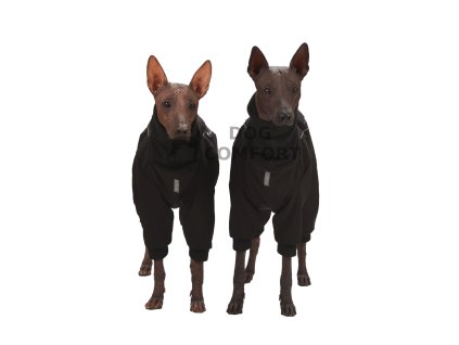 Zimní softshellová kombinéza FREEZE