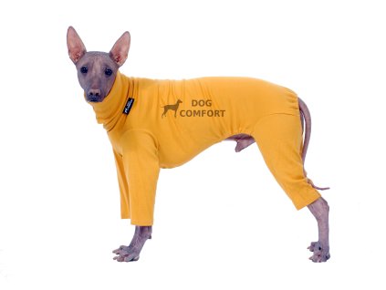 T-shirt overalls MERINO BODY CURRY