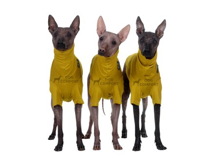 T-shirt BAMBOO yellow mustard