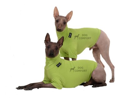 T-shirt BAMBOO green lime