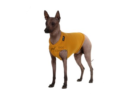 Singlet MERINO curry