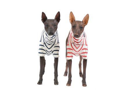 T-shirt BAMBOO STRIPES