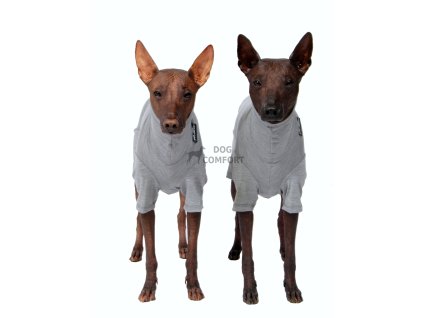 T-shirt overalls MERINO BODY with spandex / short legs