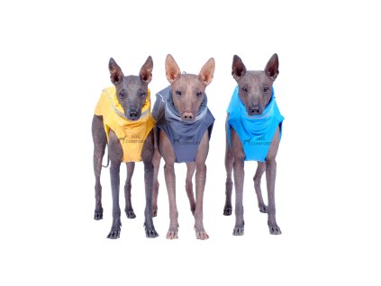 Softshell waistcoat OUTDOOR PLUS