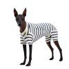 T-shirt overalls BAMBOO PLUS/short legs STRIPES