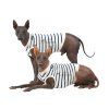 Songlet BAMBOO STRIPES
