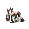 Songlet BAMBOO STRIPES