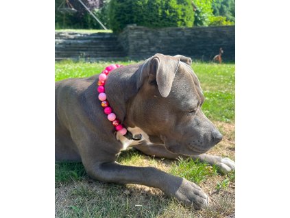 177B614C C4D7 4D7E B71E B9FE03016410 copy