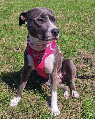 Milujeme takové recenze od zákazníků🩷🙏🏽 “Je úžasná úplně ☺️♥️ každý jí to tady moc chválí, je to naše hvězda ☺️♥️ “...