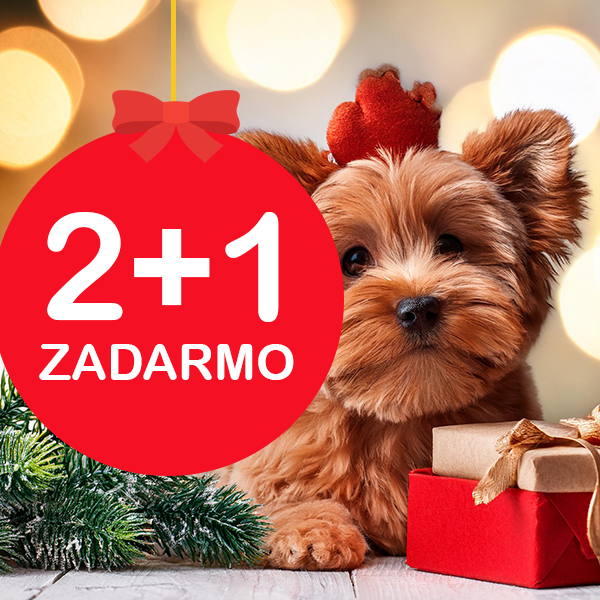 AKCIA hračky pre psov 2+1 zadarmo