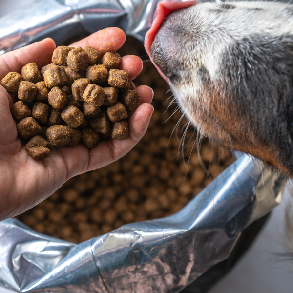 Naučte sa čítať etiketu krmiva pre psy a mačky
