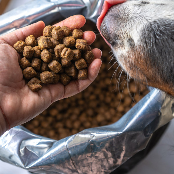 1. diel - ako vybrať správne granule pre psa? 10/2022