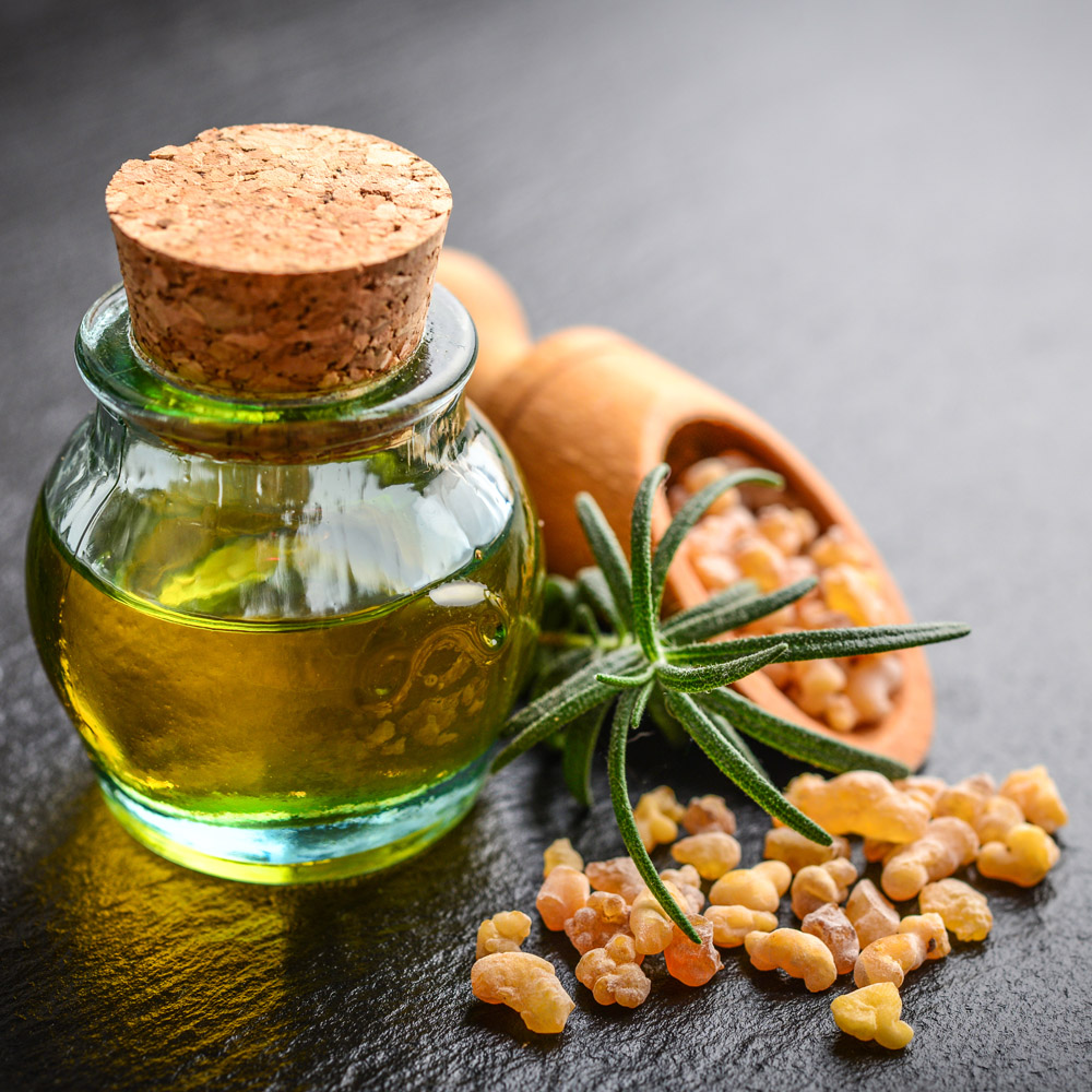 Boswellia a psí športovci 10/2021