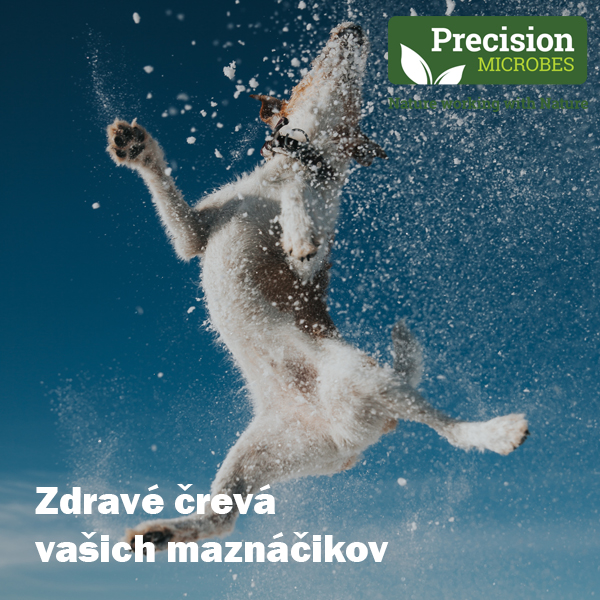 Ako riešiť hnačku u psa a mačky 01/2024