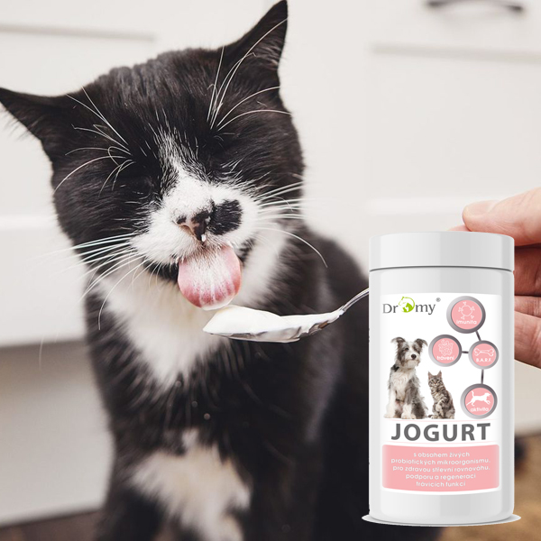 Jogurt pre psy a mačky - áno alebo nie?