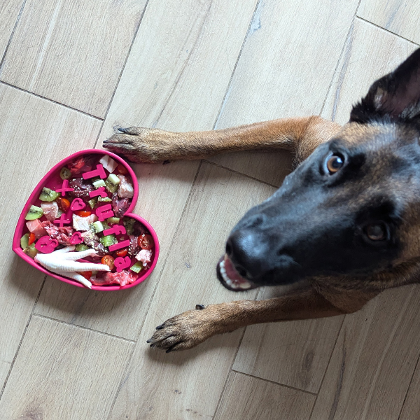 Doprajte svojmu psíkovi kŕmenie plné lásky s našou limitovanou valentínskou edíciou ❤️