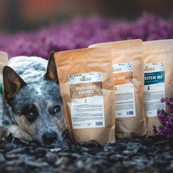 Multivitamín pre psov? Vyskúšajte Natureca MULTI DOG! 11/2024