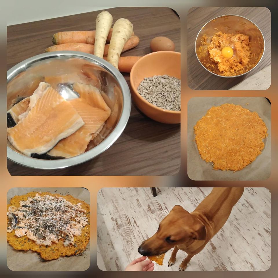 Pizza Salmone pre psíkov