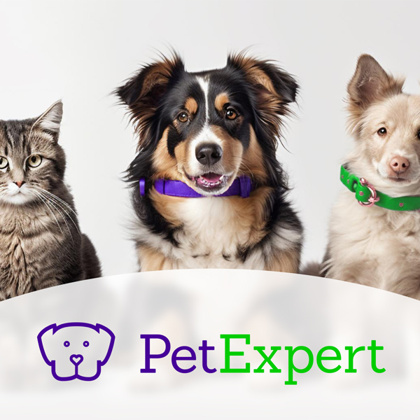 Poistenie psov a mačiek? Šetří vaši peneženku a stará se o zdraví vašeho miláčika 07/2024